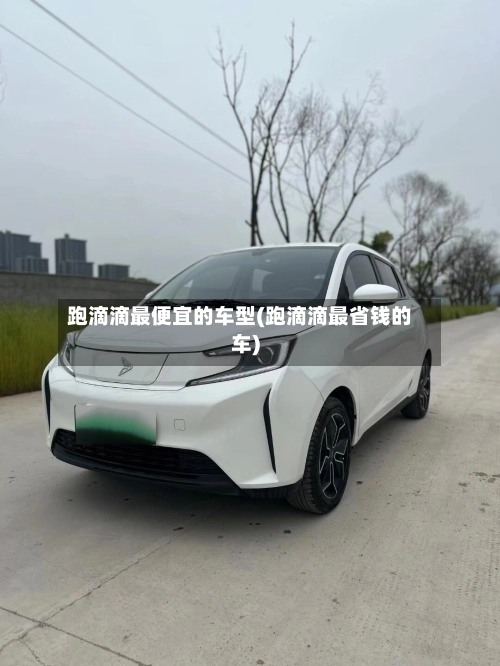 跑滴滴最便宜的车型(跑滴滴最省钱的车)