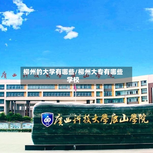 柳州的大学有哪些/柳州大专有哪些学校-第3张图片
