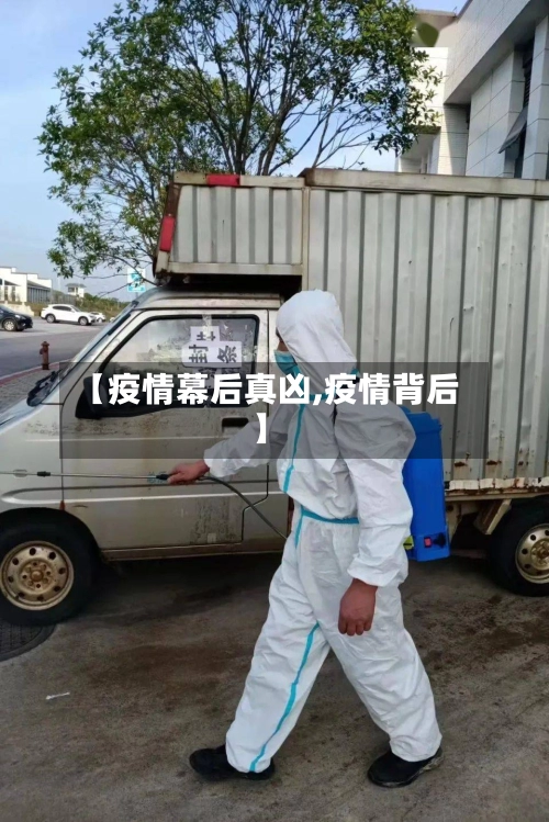【疫情幕后真凶,疫情背后】
