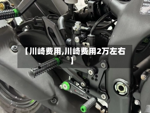 【川崎费用,川崎费用2万左右】