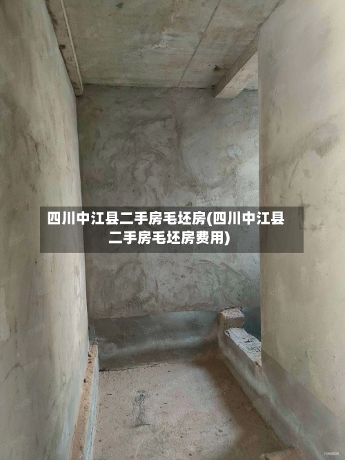 四川中江县二手房毛坯房(四川中江县二手房毛坯房费用)