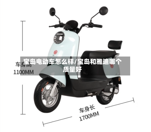 宝岛电动车怎么样/宝岛和雅迪哪个质量好