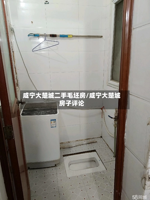 咸宁大楚城二手毛坯房/咸宁大楚城房子评论-第2张图片