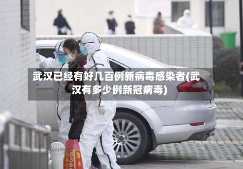 武汉已经有好几百例新病毒感染者(武汉有多少例新冠病毒)-第3张图片