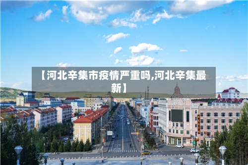 【河北辛集市疫情严重吗,河北辛集最新】
