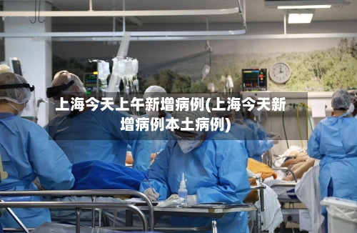 上海今天上午新增病例(上海今天新增病例本土病例)-第2张图片