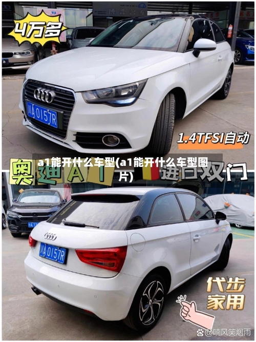 a1能开什么车型(a1能开什么车型图片)-第2张图片