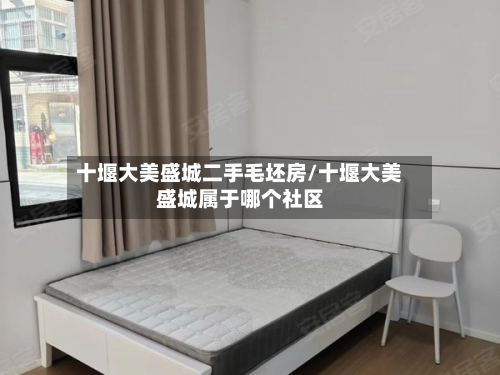 十堰大美盛城二手毛坯房/十堰大美盛城属于哪个社区