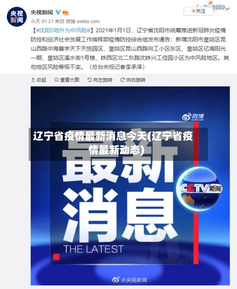 辽宁省疫情最新消息今天(辽宁省疫情最新动态)-第2张图片