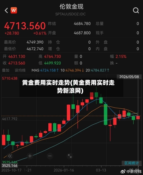 黄金费用实时走势(黄金费用实时走势新浪网)
