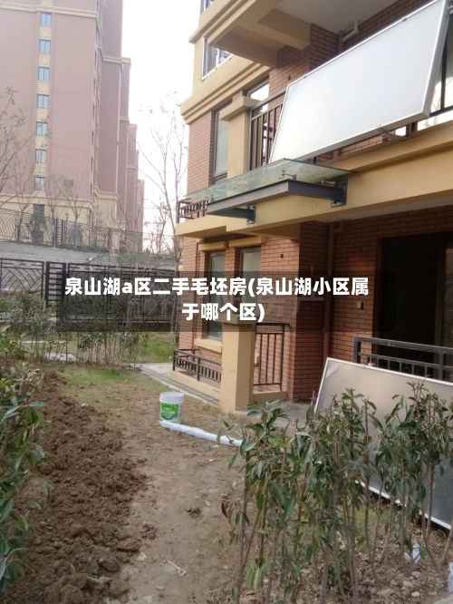 泉山湖a区二手毛坯房(泉山湖小区属于哪个区)