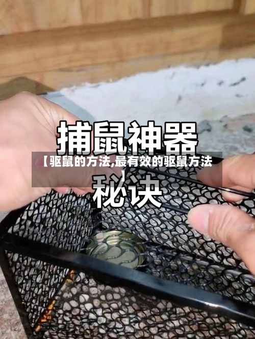【驱鼠的方法,最有效的驱鼠方法】
