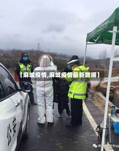 【麻城疫情,麻城疫情最新数据】-第2张图片