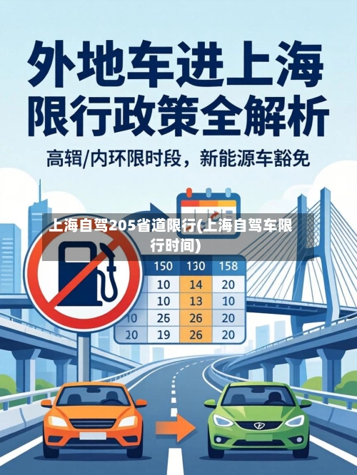 上海自驾205省道限行(上海自驾车限行时间)-第2张图片
