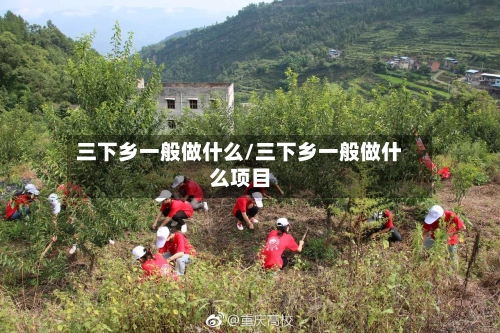 三下乡一般做什么/三下乡一般做什么项目