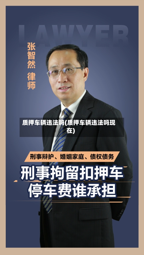质押车辆违法吗(质押车辆违法吗现在)-第3张图片