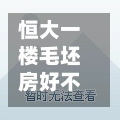 恒大一楼毛坯房好不好/恒大一楼毛坯房交房标准-第3张图片