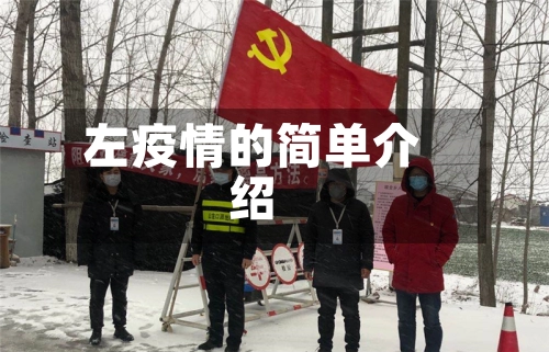 左疫情的简单介绍-第2张图片