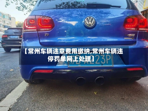 【常州车辆违章费用缴纳,常州车辆违停罚单网上处理】-第2张图片