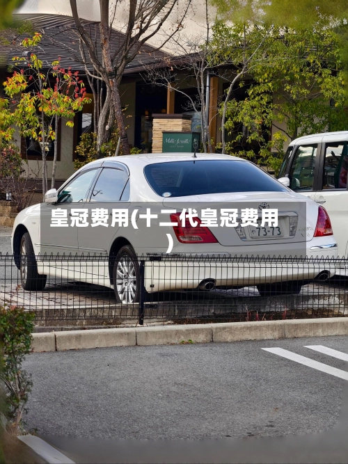 皇冠费用(十二代皇冠费用)