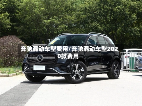奔驰混动车型费用/奔驰混动车型2020款费用