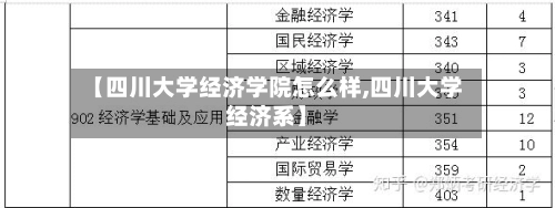 【四川大学经济学院怎么样,四川大学经济系】