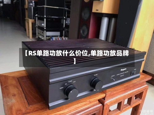 【RS单路功放什么价位,单路功放品牌】