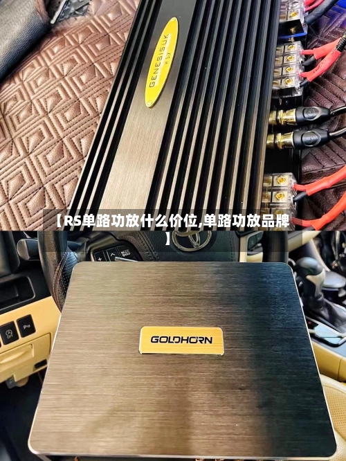 【RS单路功放什么价位,单路功放品牌】-第3张图片