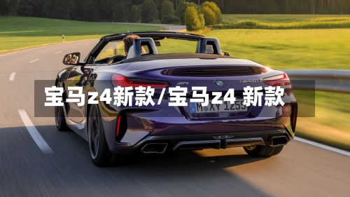 宝马z4新款/宝马z4 新款-第2张图片
