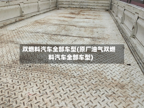 双燃料汽车全部车型(原厂油气双燃料汽车全部车型)-第2张图片