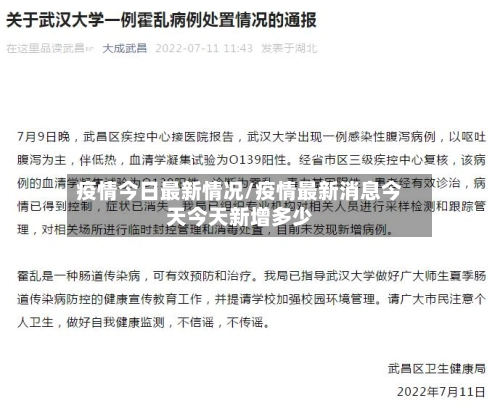 疫情今日最新情况/疫情最新消息今天今天新增多少-第2张图片