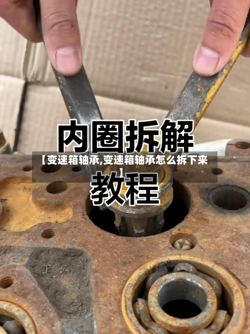 【变速箱轴承,变速箱轴承怎么拆下来】