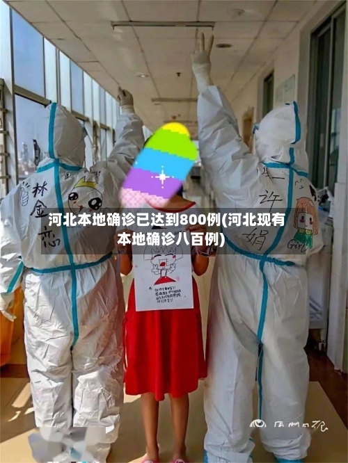 河北本地确诊已达到800例(河北现有本地确诊八百例)