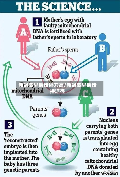 新冠变异后传播力高/新冠变异后传播途径