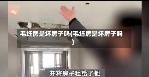 毛坯房是坏房子吗(毛坯房是坏房子吗)-第3张图片