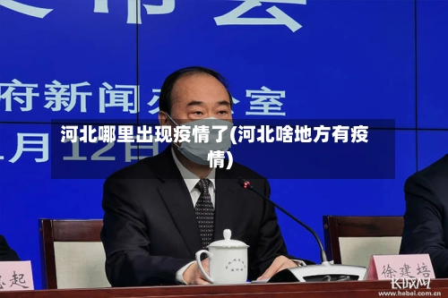河北哪里出现疫情了(河北啥地方有疫情)-第3张图片