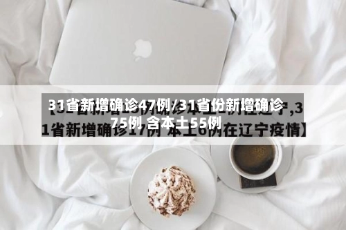 31省新增确诊47例/31省份新增确诊75例 含本土55例