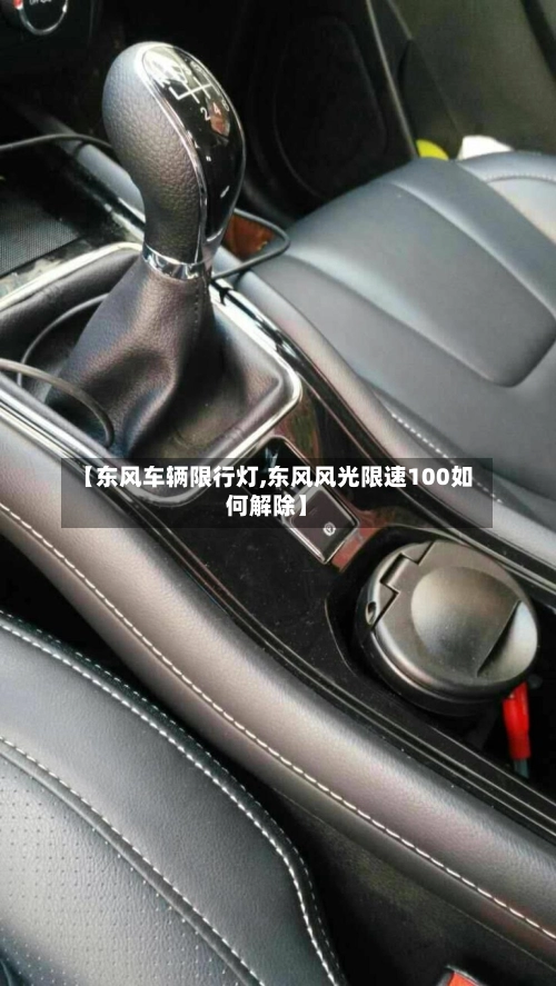 【东风车辆限行灯,东风风光限速100如何解除】-第3张图片
