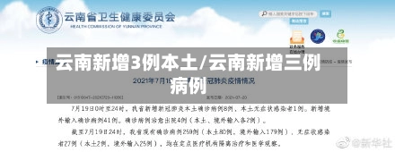 云南新增3例本土/云南新增三例病例