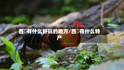 西蔵有什么好玩的地方/西蔵有什么特产