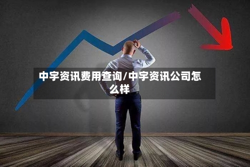 中宇资讯费用查询/中宇资讯公司怎么样
