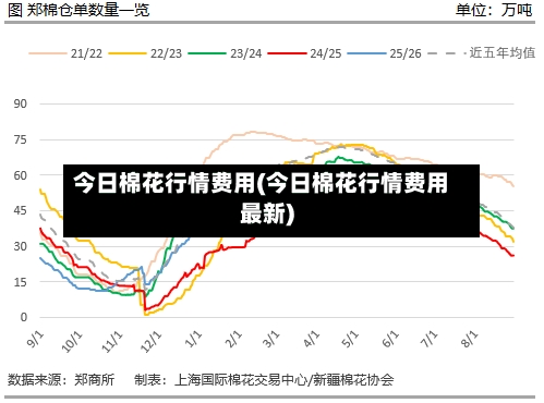 今日棉花行情费用(今日棉花行情费用最新)