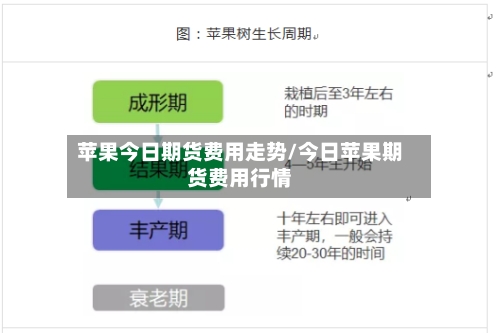 苹果今日期货费用走势/今日苹果期货费用行情