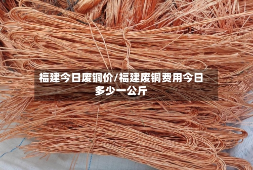 福建今日废铜价/福建废铜费用今日多少一公斤