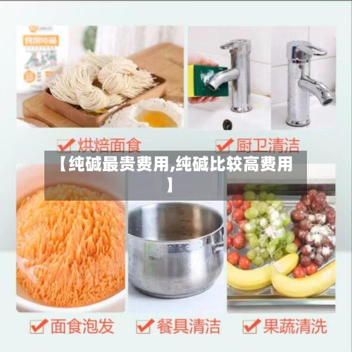 【纯碱最贵费用,纯碱比较高费用】-第2张图片
