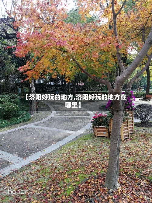【济阳好玩的地方,济阳好玩的地方在哪里】-第2张图片