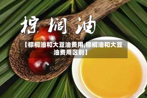 【棕榈油和大豆油费用,棕榈油和大豆油费用区别】-第2张图片
