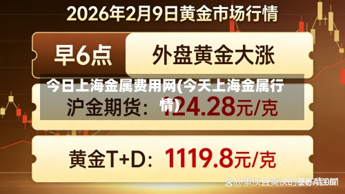 今日上海金属费用网(今天上海金属行情)