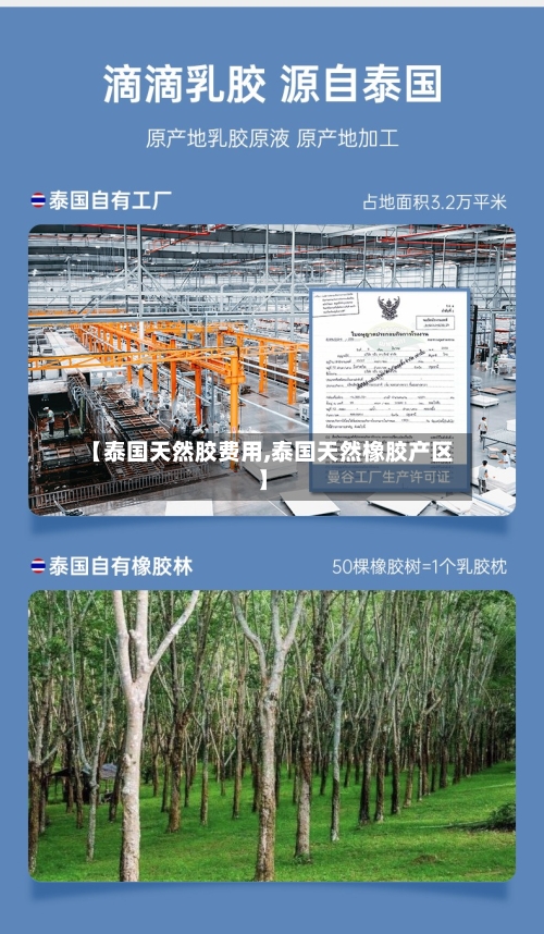 【泰国天然胶费用,泰国天然橡胶产区】