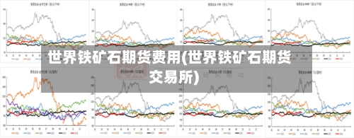 世界铁矿石期货费用(世界铁矿石期货交易所)